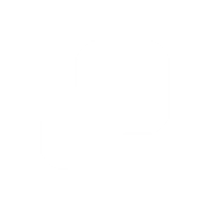 Bluefish AI logo