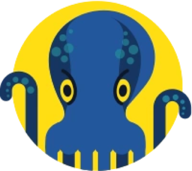 JetOctopus logo