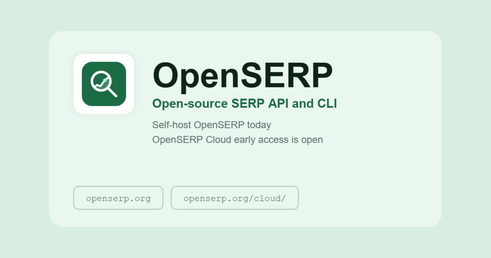 OpenSERP product screenshot