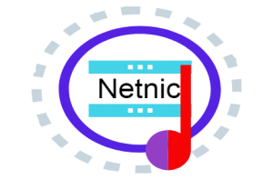Netnic SEO Audit Tool logo