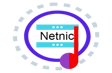 Netnic SEO Audit Tool logo