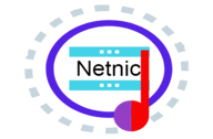 Netnic SEO Audit Tool logo
